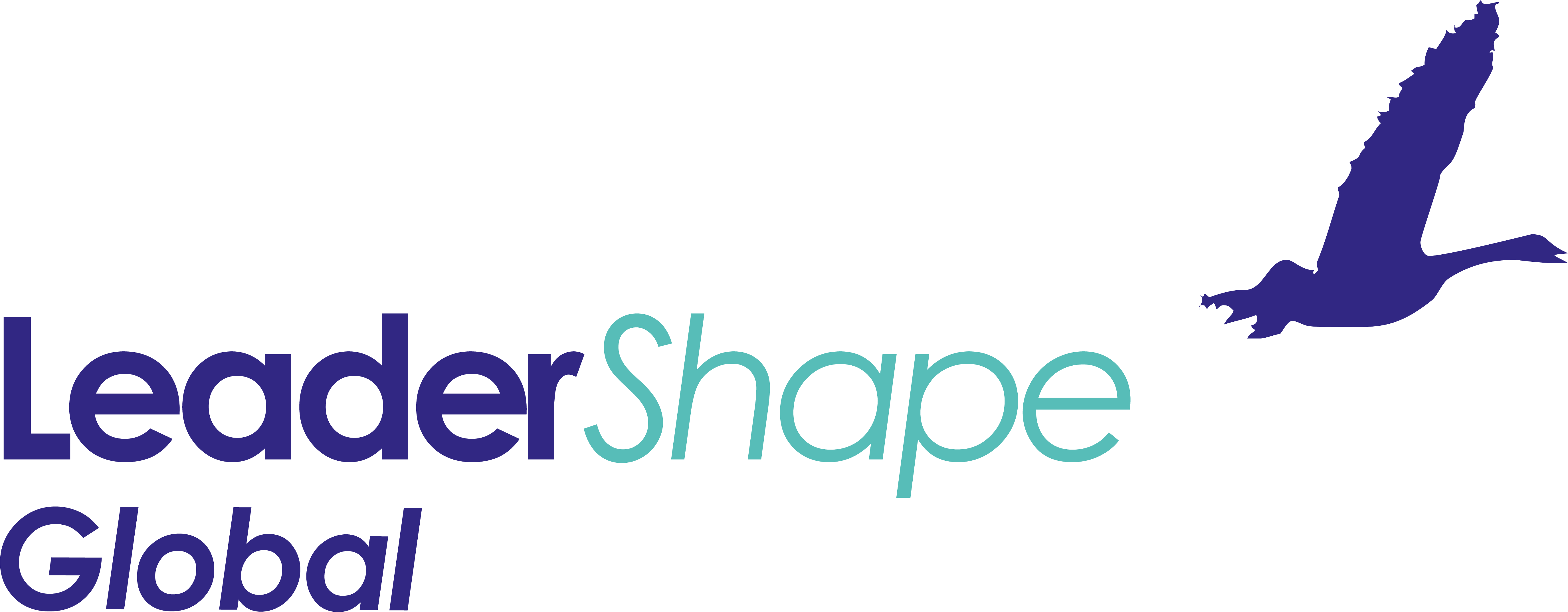 Leadershape Global Ltd